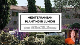 Mediterranean Planting challenge inside Lumion PRO 10