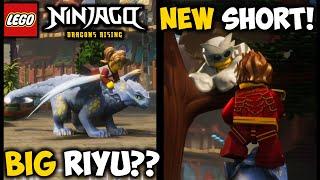 NEW Ninjago Short Released! Returning Villains, Baby Riyu is BIG Now | Reaction and Discussion