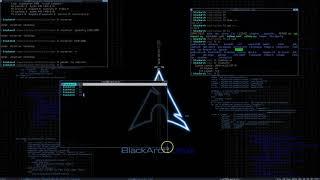 BlackArch Linux - How to Resize the Terminal Window