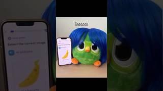 bro needs a new barber ️ #bluehair #duolingo #bumbumbum