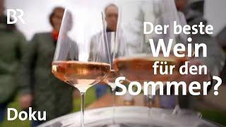 Rosé-Wein: Fifty Shades of Rosa | Der perfekte Sommerwein? freizeit mit dem Schmidt Max | Doku | BR