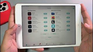 How to Jailbreak iOS 12.5.5 on iPad Mini 2 No Computer