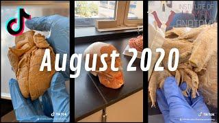 Human Anatomy TikTok Compilation | August 2020 | Institute of Human Anatomy