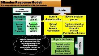 19 Stimulus Response Model by  Tracy McGee