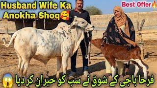 Karachi Ki Female Farah Baji Ka Zaberdast Shoq | Best Palai Offer For Season 2025 | Cow Mandi 2025