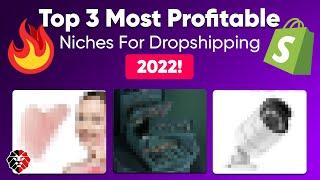 Top 3 Most Profitable Niches For Dropshipping in 2022 