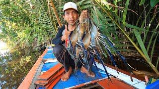 Tak sia-sia mancing sampai bermalam diperahu, akhirnya panen udang besar lagi