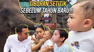 REAKSI PERTAMA CIPUNG LIAT GAJAH!! RAFFI NAGITA MAU PANIK TAPI  GEMES, FANS CIPUNG ADA DIMANA MANA