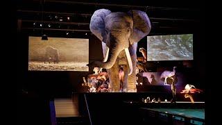 Naturalis Biodiversity Center, The European Museum of the Year - 2021