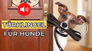 10 Türklingel für Hunde  geräusche fur hund