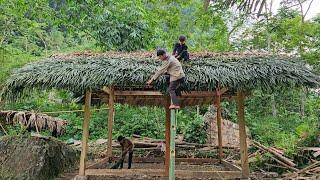 The homeless boy and the poor girl worked with their uncle to chop leaves and complete the house