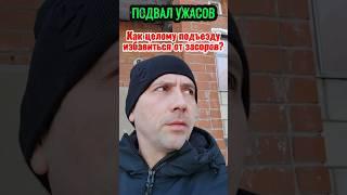 Увидев ЭТО в подвале сантехники были в шоке l Монтаж канализации #засор #канализация