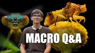 Macro Photography Q&A - 10K special