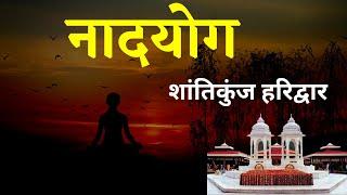 naadyog shantikunj haridwar | naadyog sadhana |नादयोग साधना  shantikunj naadyog #naadyog #shantikunj