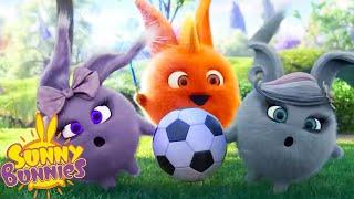 SUNNY BUNNIES - FOOTBALL SEASON | Cartoons for Children