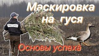 Охота на гуся Маскировка/Как маскировать скрадок на гуся