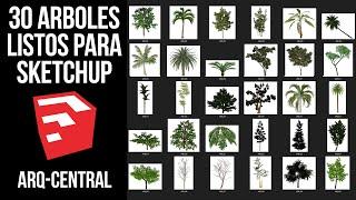 PACK 30 ÁRBOLES LISTOS PARA UTILIZARSE EN SKETCHUP