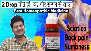 Gnaphalinum Homeopathic medicine for Sciatica Back Pain and Numbness | Symptoms | How to use |