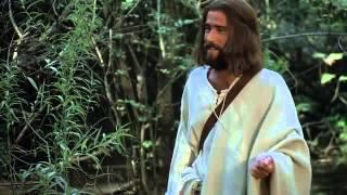 Jesus Film (Nederlands)
