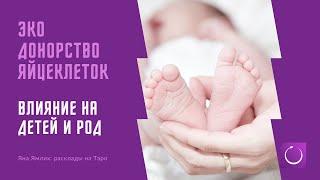 Дети, рожденные с помощью ЭКО. Донорство яйцеклетки. Влияние на детей и род. Расклады на Таро.