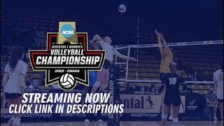 LIVE: Oregon vs Nebraska | NCAA College Women's Volleyball 2022