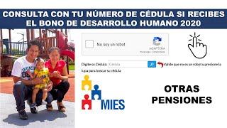 Consultar Bono de Desarrollo Humano MIES con cédula 2024