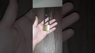 [7] $8 Brinks lock Picked