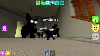 New kitten game glitch (roblox)