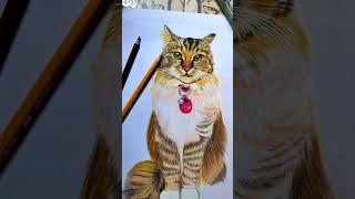 Cocoa the Cat | Furry Art | JM Artcreation