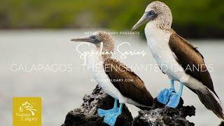 Speaker Series - Galapagos - The Enchanted Islands