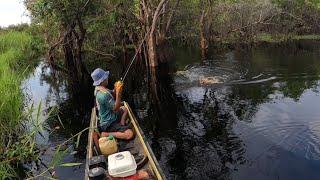 TOMAN NYA BERLIMPAH, SAMPAI PEGAL CASTING TOMAN DISINI - SUNGAI MENGKUANG RENGAT -VLOG MENGKUANG 1