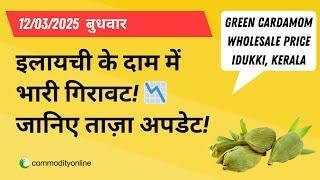 12 मार्च 2025: इलायची के दाम में भारी गिरावट!  जानिए ताज़ा अपडेट! | Green cardamom rate Kerala