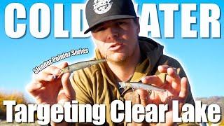 【Cold Water】Targeting Clear Lake with Slender Pointer