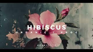 Hibiscus by Zenhiser. The Sonic Palette of Progressive and Organic House.