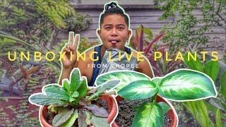 Unboxing Live Plants Mula sa Shopee