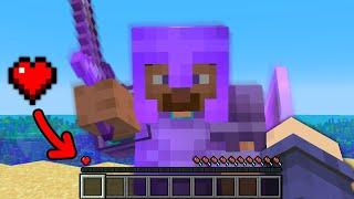 I Took Over a Public Minecraft SMP on ONE HEART