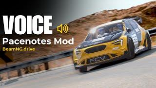 The Missing Voice of BeamNG Rally | Custom Rally Pacenotes Mod Review & Gameplay