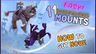 11 Shadowlands Mounts EASY to Obtain!