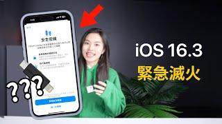 被罵爆iOS16.3正式版緊急推出 七大新功能&修正 桌布 密鑰 電量續航