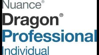 Dragon Professional Integrating Office Applications