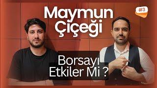 Borsayı Maymun Çiçeği Etkiler Mi ? | Kısa ve Net #3