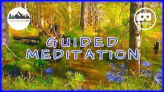 EXPLORE the magic pond of CONSCIOUSNESS  VR180 guided MEDITATION
