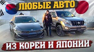 ИЗ КОРЕИ И ЯПОНИИ, ЛЮБЫЕ АВТОМОБИЛИ‼️KIA K5PRADOACCORD CR7TUCSON