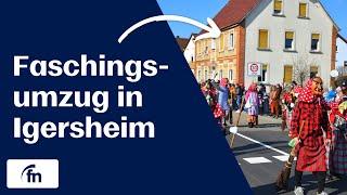 Faschingsumzug in Igersheim