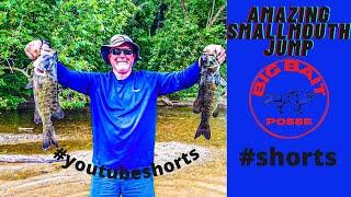 Erstaunlicher Smallmouth-Sprung | BigBaitPosse #shorts #youtubeshorts