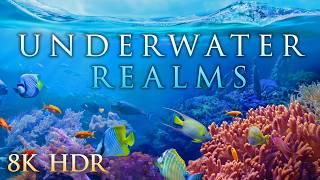 Vivid Coral Reefs in 4K HDR: " Underwater Realms" 1 Hour Ambient Nature Relaxation Film + Music