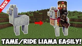 How to Tame & Ride Llama in Minecraft - Bedrock/PE/Java