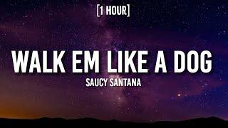 Saucy Santana - Walk Em Like a Dog [1 HOUR/Lyrics] | Walk him like a dog sis, walk him like a dog