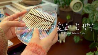 잔나비 '가을밤에 든 생각' 칼림바 커버 (Kalimba Cover)