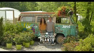 Groovy Plants Ranch